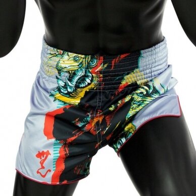 "Fairtex" K1 / Thai Shorts Satoru Collection 2