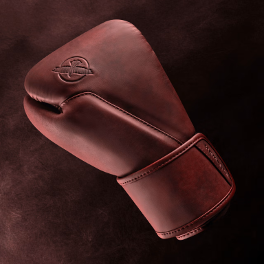 "Hayabusa" Boxing Gloves - T360 - Cabernet