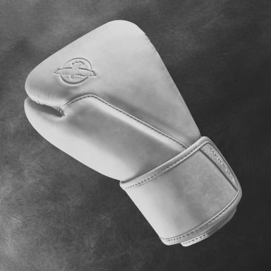 "Hayabusa" Boxing Gloves - T360 - Sea Smoke