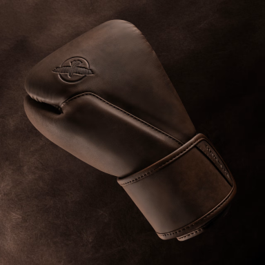 "Hayabusa" Boxing Gloves - T360 - French Roast
