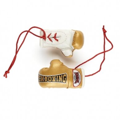 Mini bokso pirštinaitės "Royal" - Kickboxing