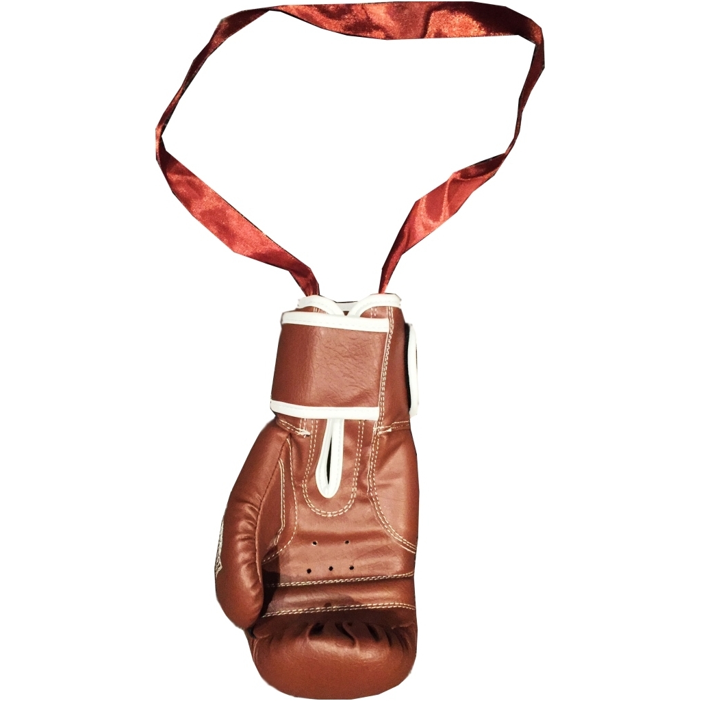 "Royal" dovaninė bokso pirštinė - aksesuaras - Bronze 1