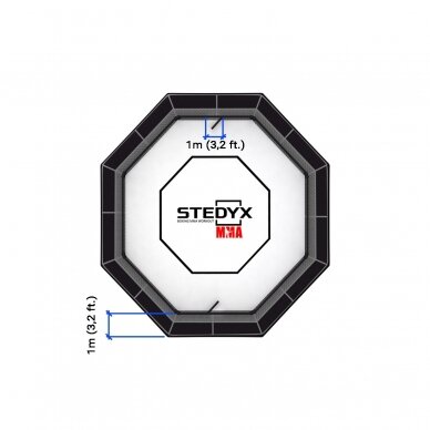 Ringas - OCTAGON UFC RULES STEDYX 3