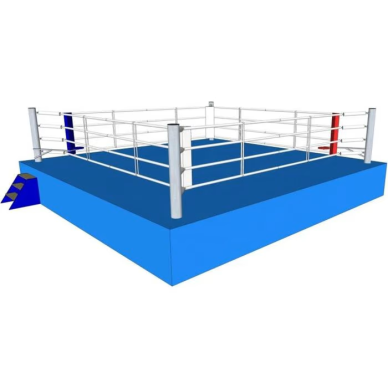 "Top Ten" Boxing Ring Competiton 1 "Top Ten" Boxing Ring Competiton 1
