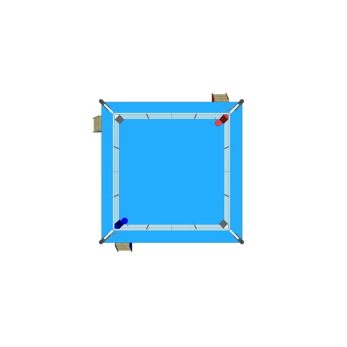 "Top Ten" Boxing Ring Competiton 6