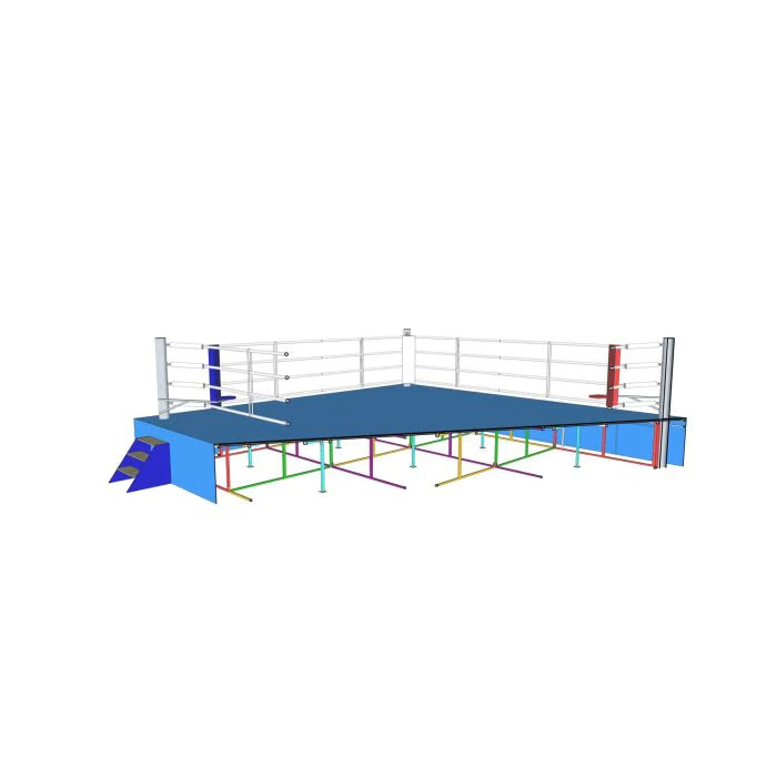 "Top Ten" Boxing Ring Competiton 8